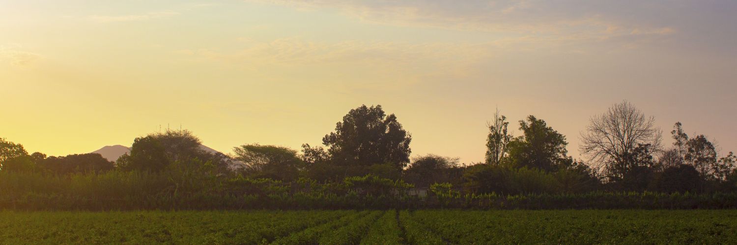 eddyjonny's profile banner image