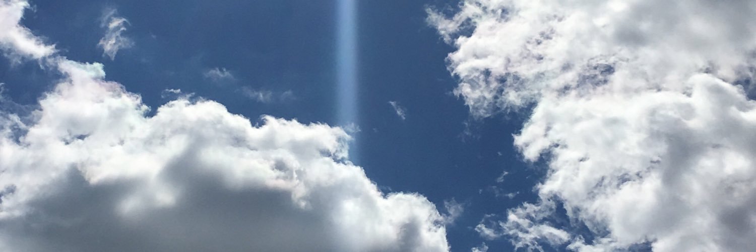 Annalisa Nutt Webb banner