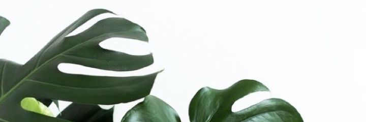 akirafc's profile banner image