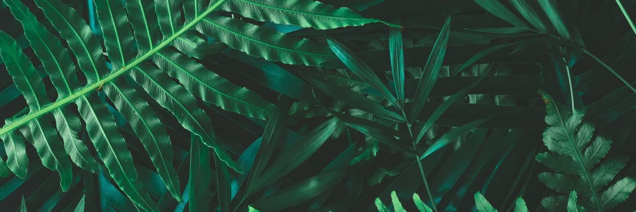sayrup_ton's profile banner image