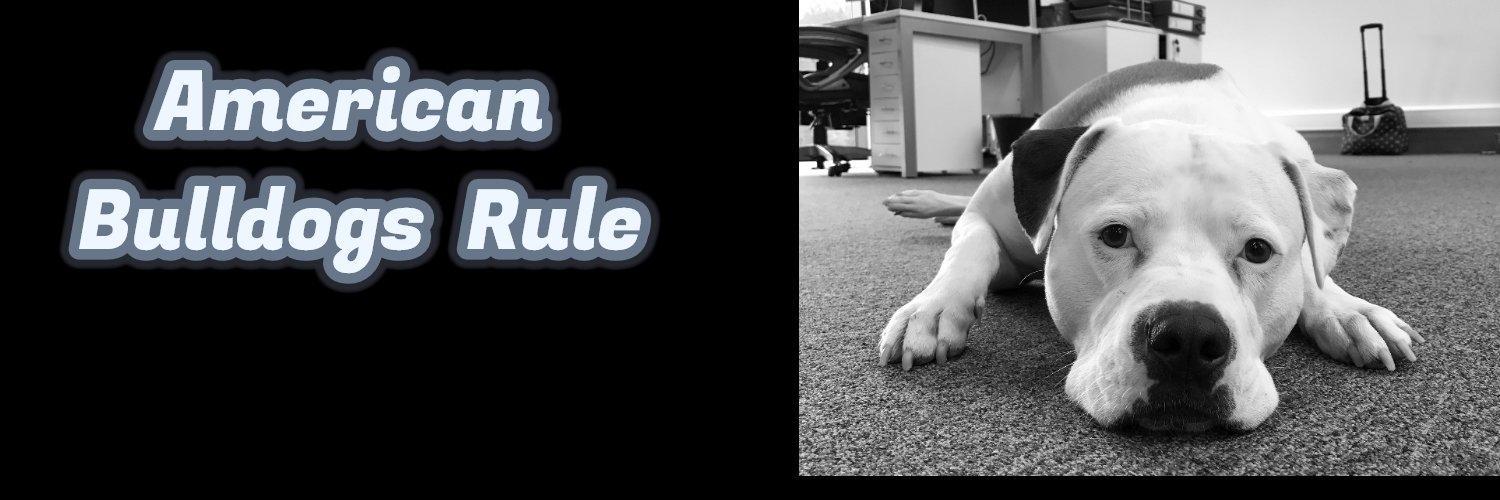 paulkitchen2's profile banner image