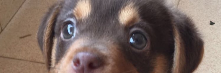 GermoMG's profile banner image