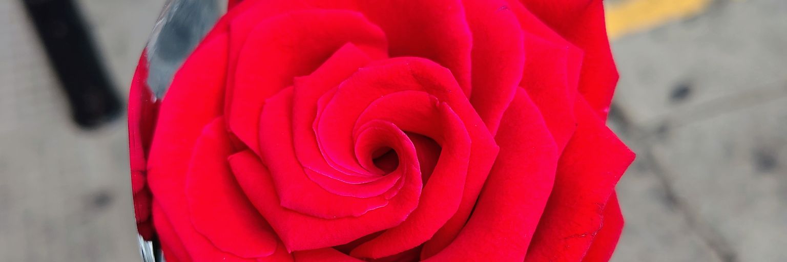 zemog_los's profile banner image