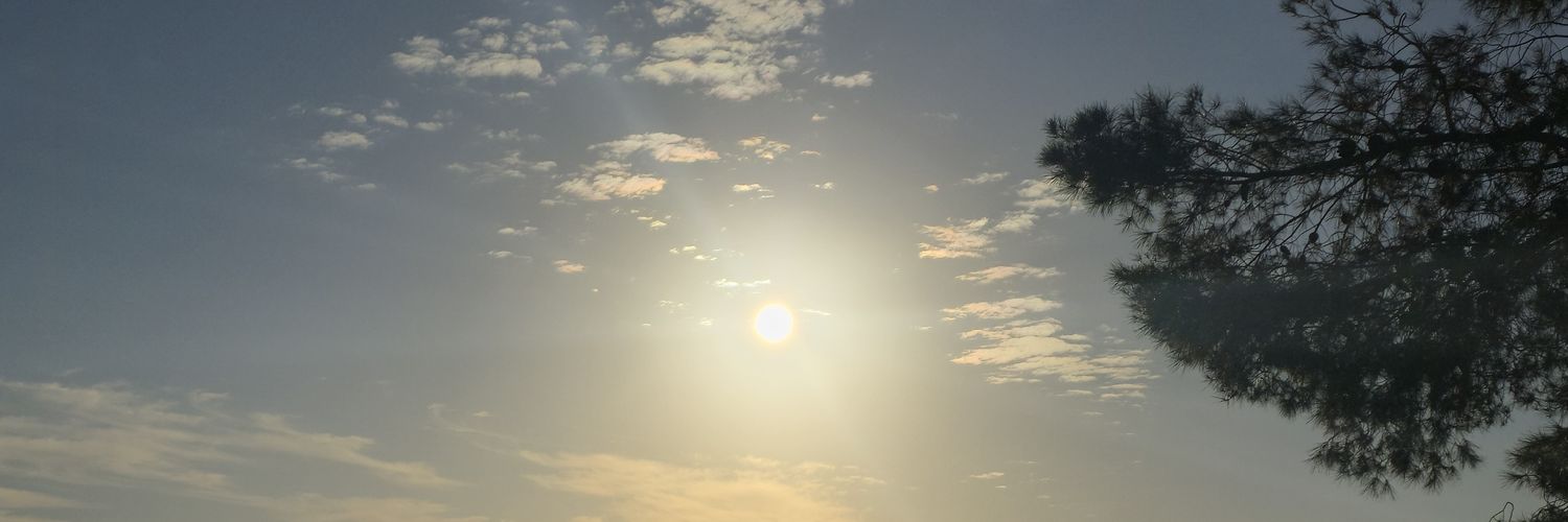 evitotoni's profile banner image