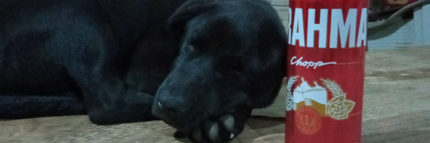 ovelhaespacial's profile banner image