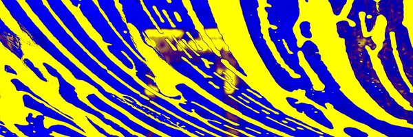 SensibleReason Profile Banner