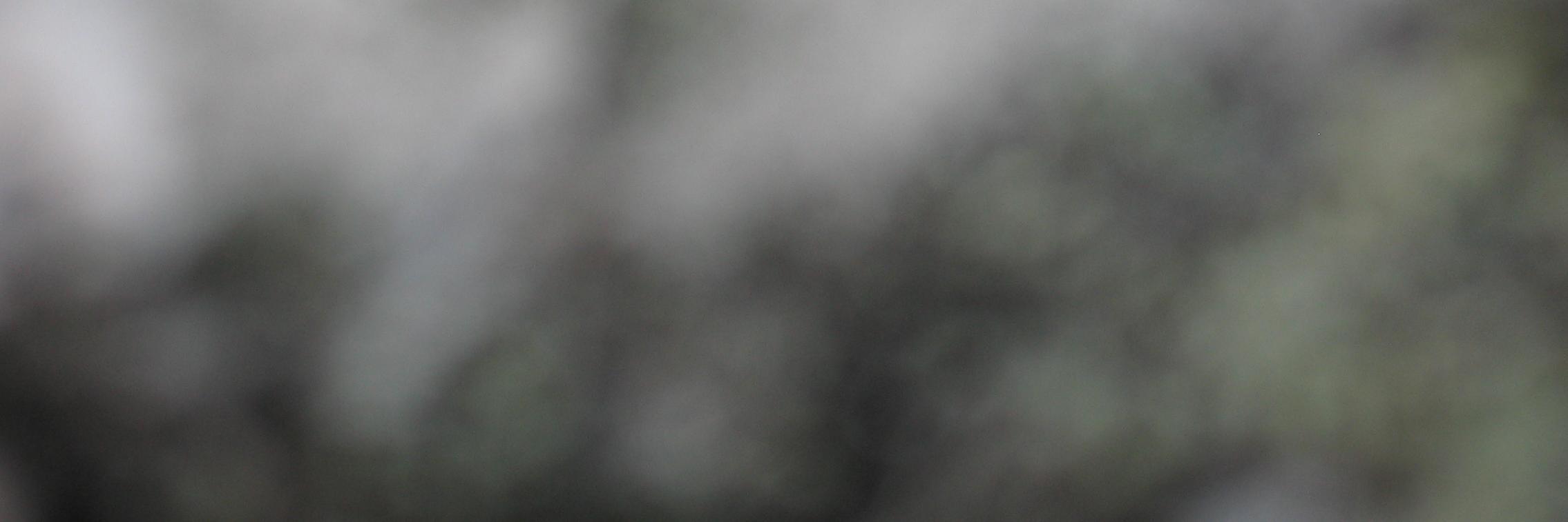 MerjaHottinen's profile banner image