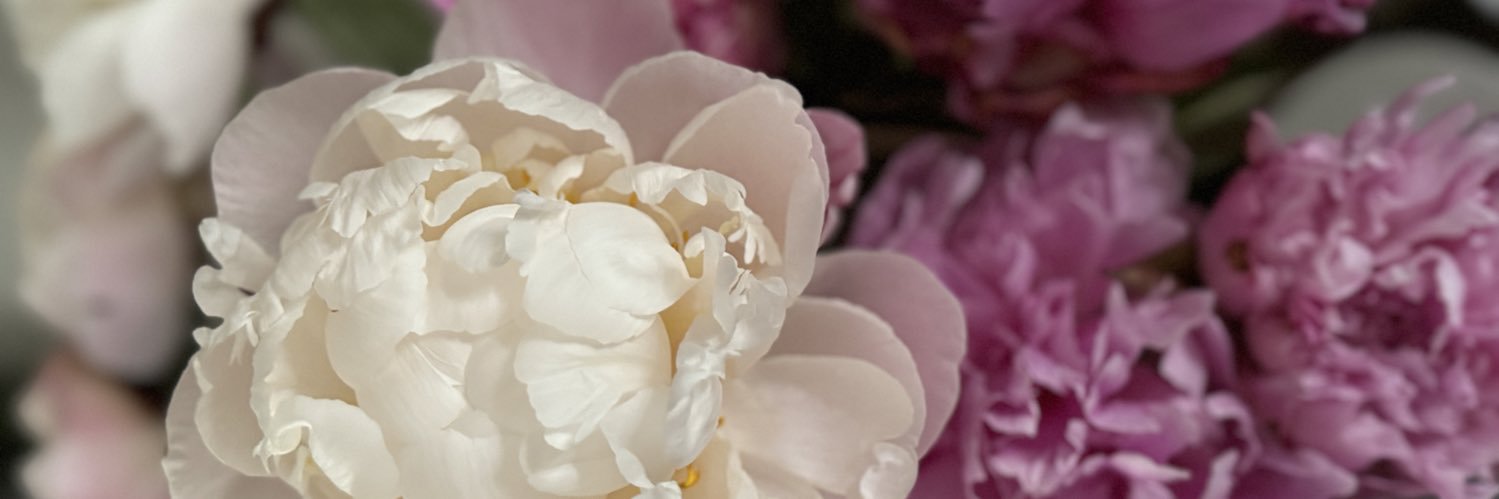 jenford138's profile banner image