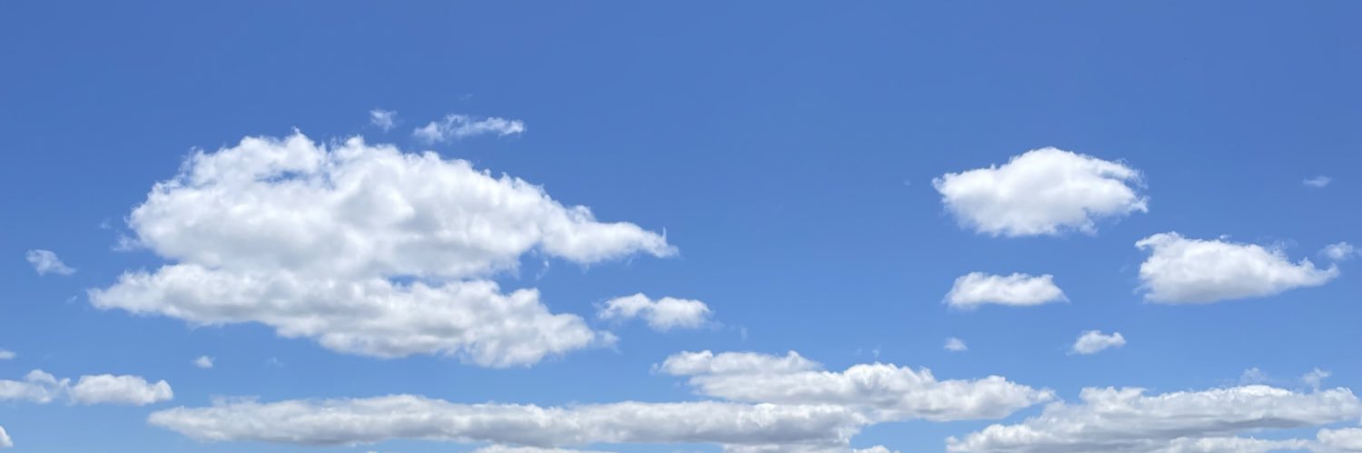 niccolasin's profile banner image