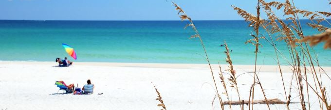 DelSnwfdn's profile banner image