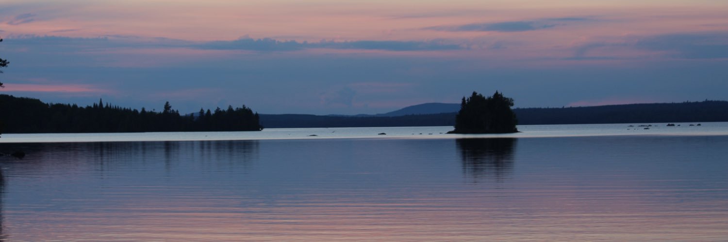 Amy Vacchiano banner