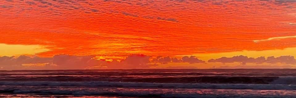 Marcel Brache banner