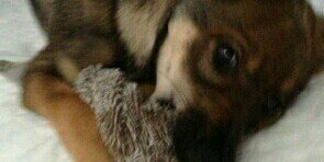Veronicadzj's profile banner image