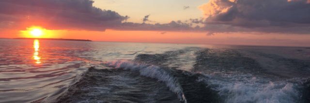 Haley_roo's profile banner image