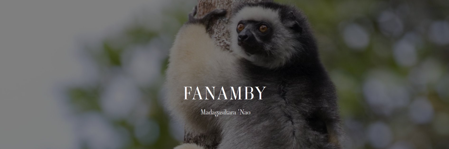 FANAMBY's profile banner image
