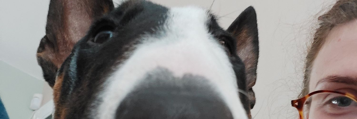 GlitheroGeorgia's profile banner image