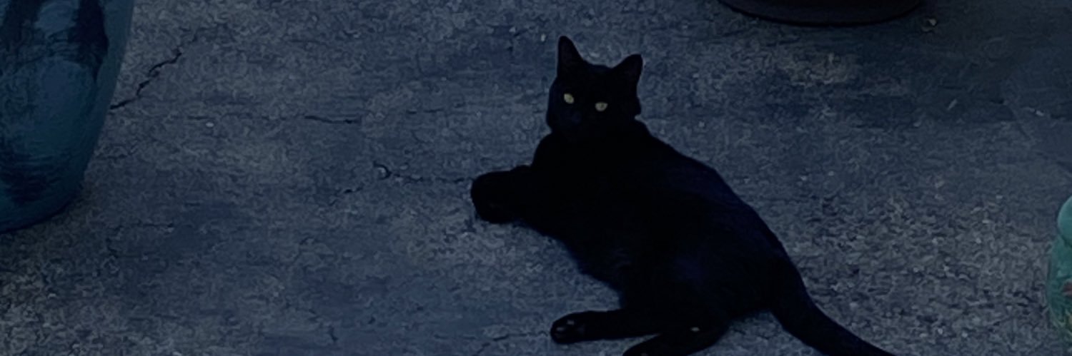 cosmosmaan's profile banner image