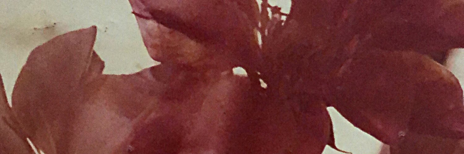 eileenariass's profile banner image