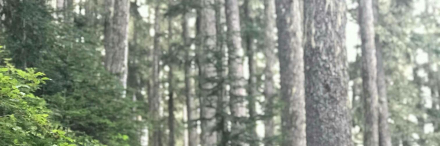 IVL_JR's profile banner image