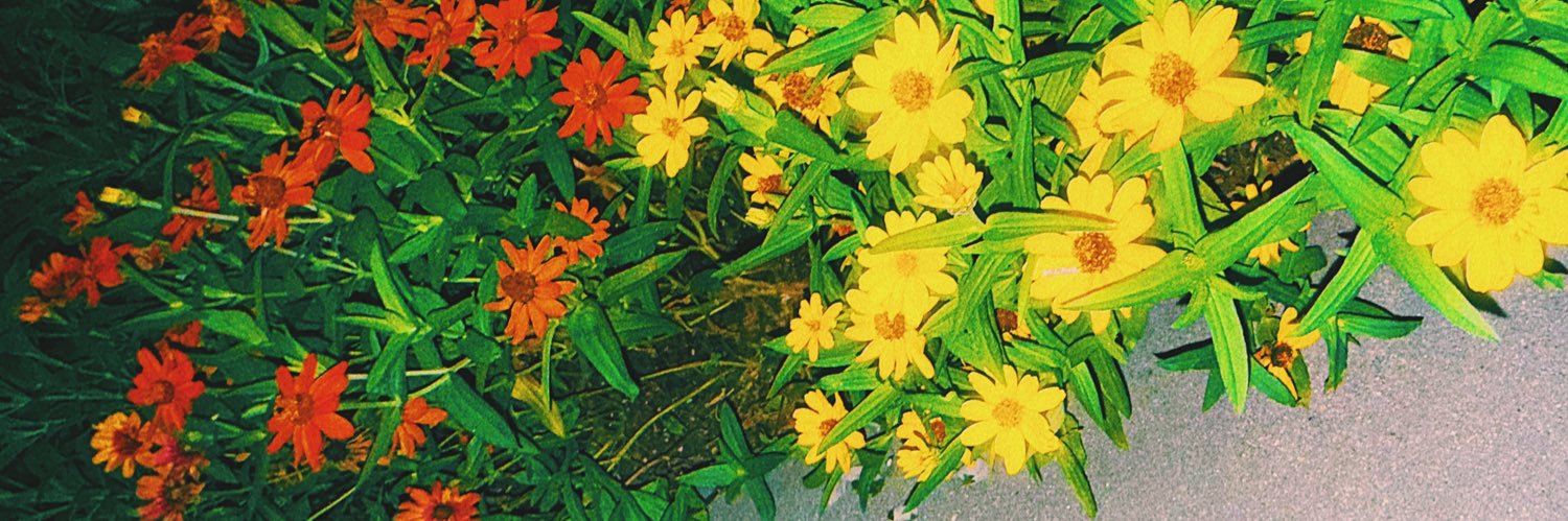 KidKuepers's profile banner image