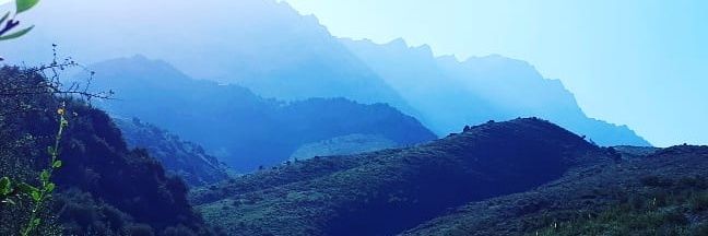 Nuora banner