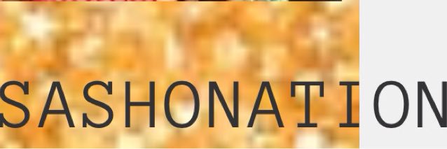 sashonation's profile banner image