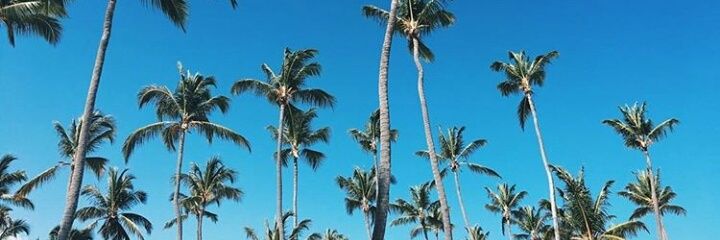 elenitagalan's profile banner image