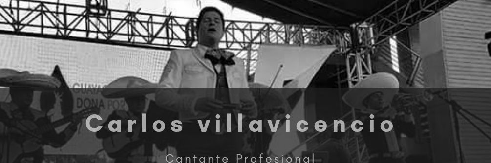 Verdi1724's profile banner image