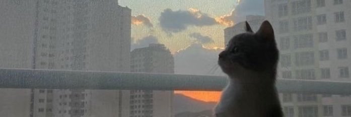 Teencitou's profile banner image