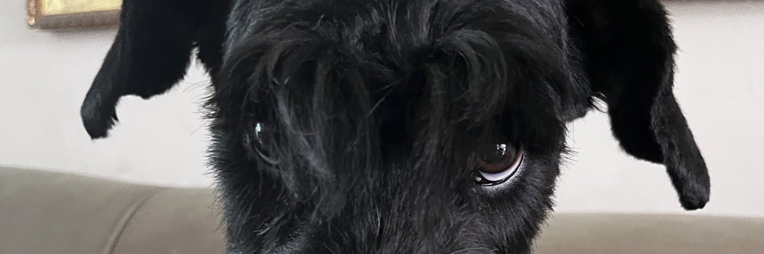 LeylaDaniela's profile banner image