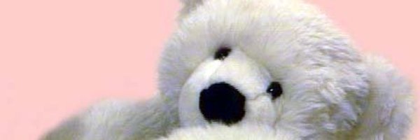 TDeBearMP Profile Banner