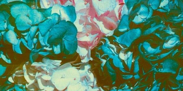LDRfavs's profile banner image