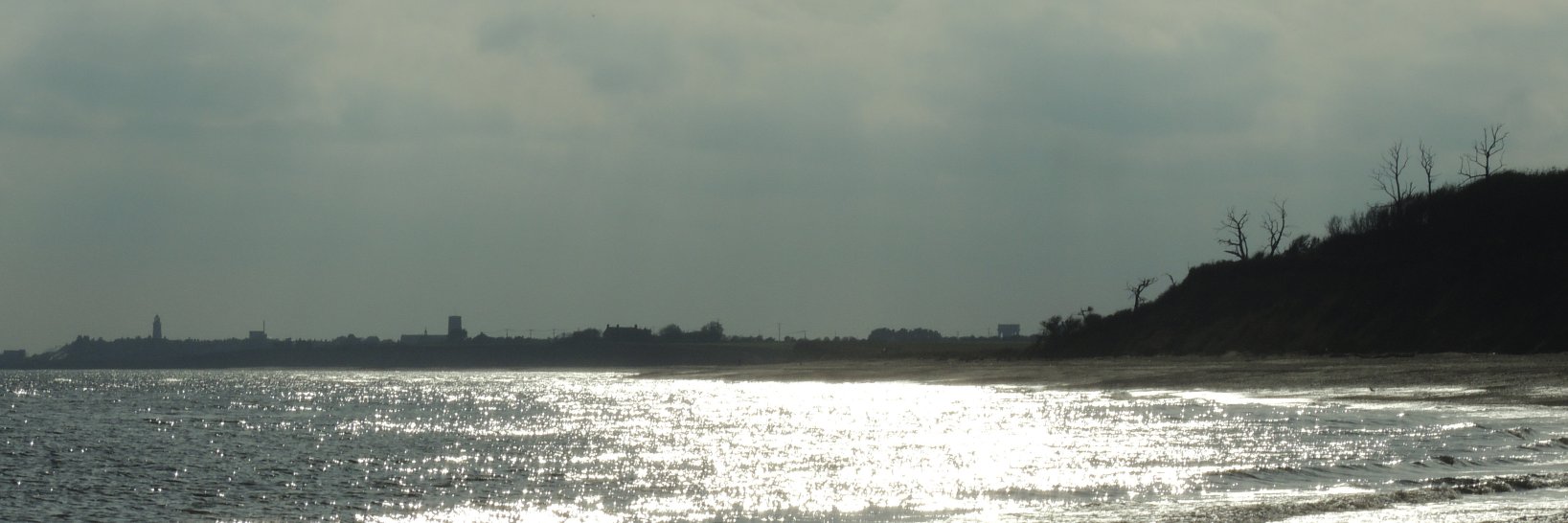 coppett's profile banner image