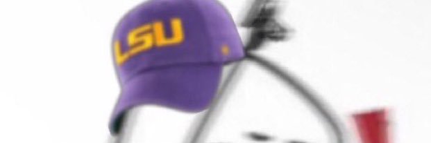 Cannon Caboose banner