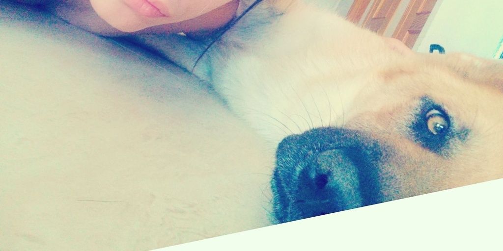 Clara Pérez. banner