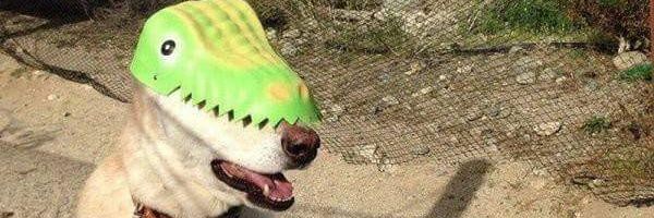 oyebeto1's profile banner image