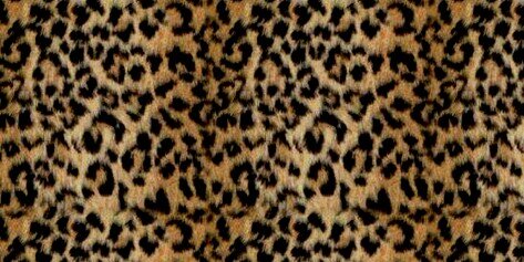 AmberRizer3's profile banner image