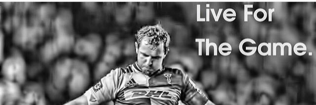 Nick Evans banner