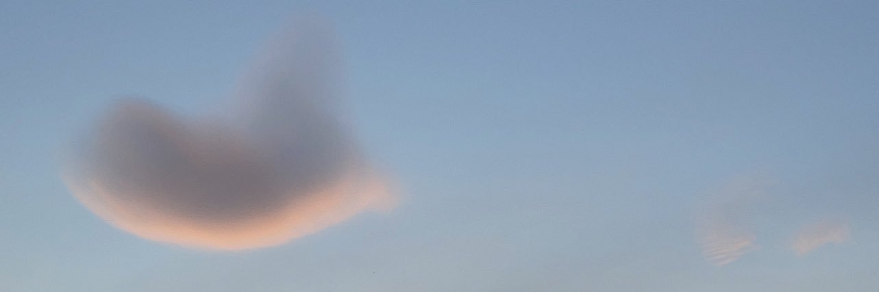 beamaemills's profile banner image