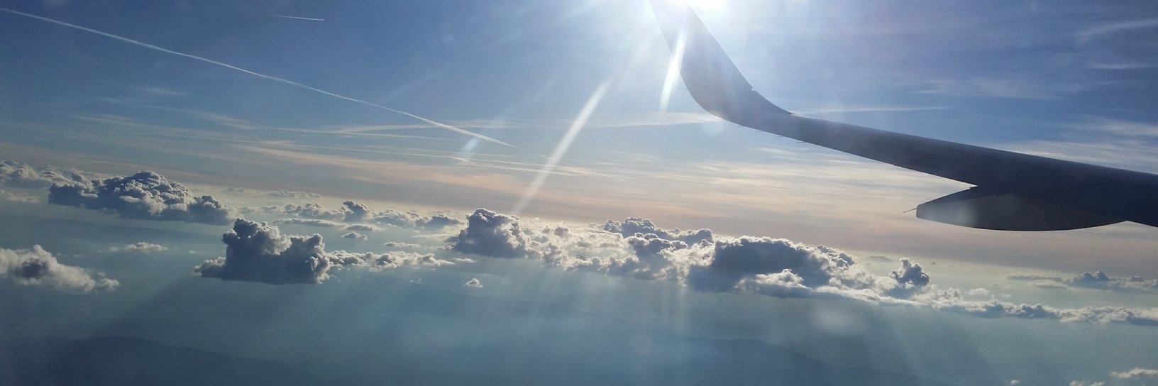 Business Angel banner