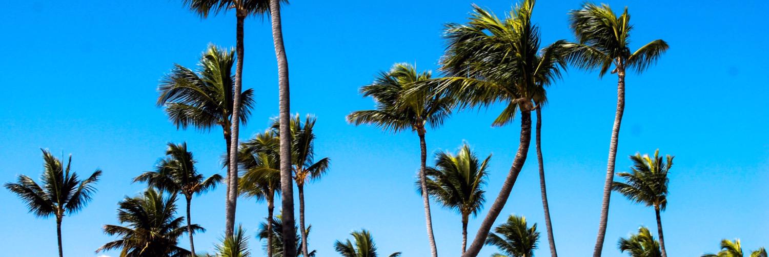 IAmTheVerne's profile banner image