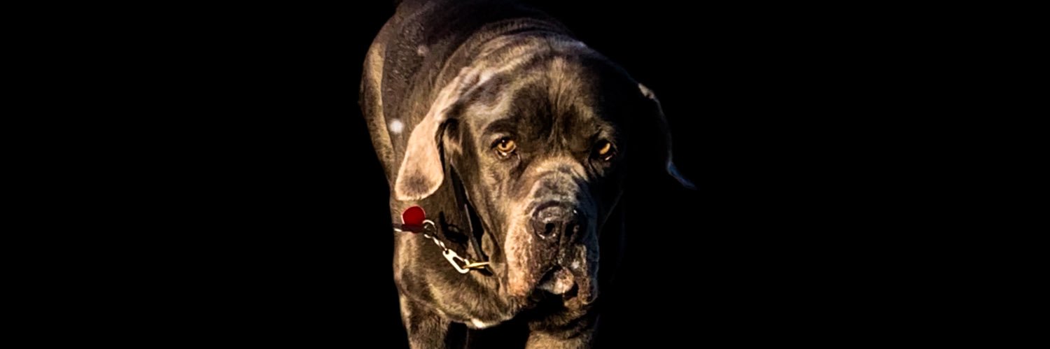 Malgorzattaa's profile banner image