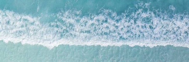 Renée Cortés banner