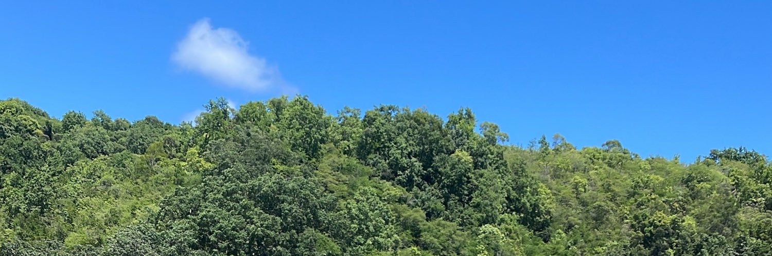 waren971's profile banner image