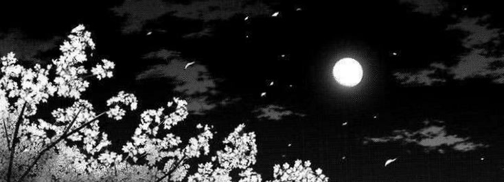 psycheluuna43's profile banner image