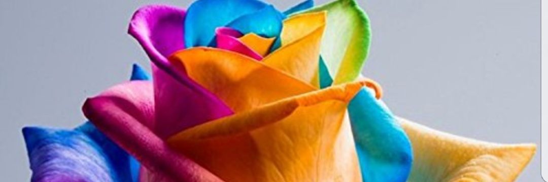 Klem92's profile banner image