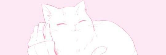 CatteXIV's profile banner image
