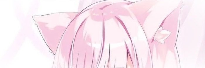 CattyXIV's profile banner image