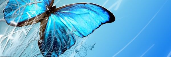 SoaadRajeh's profile banner image