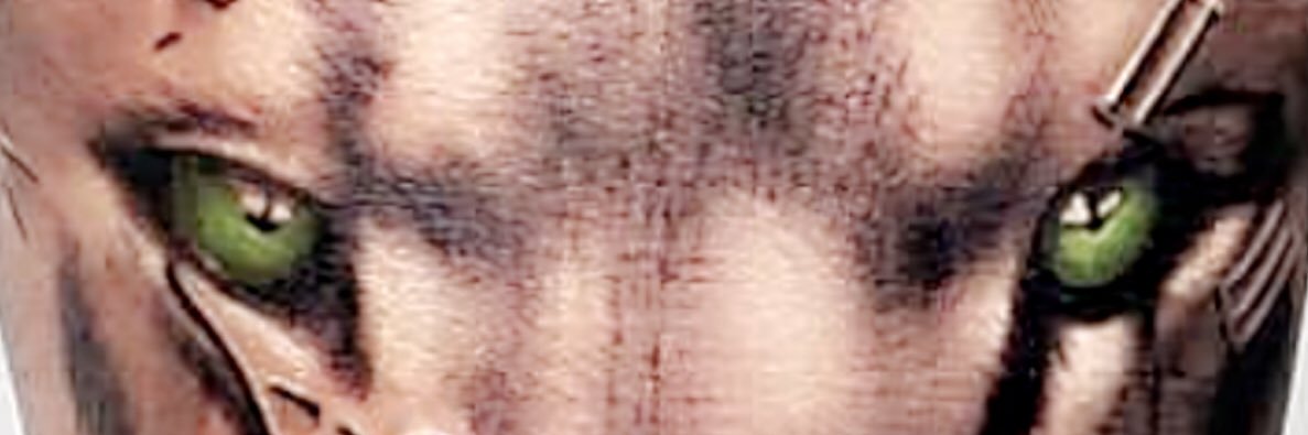 Shaa2Real's profile banner image